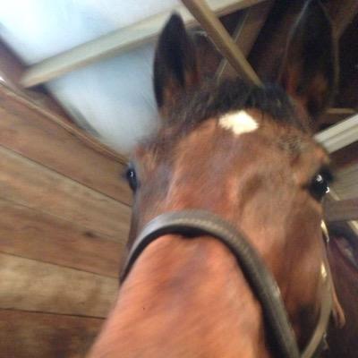 v8lume's profile picture. Bio.