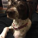 Heather Passmore - @LinkIzMyHomeboy - Twitter