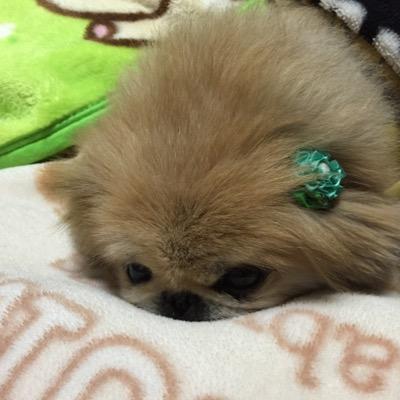 matherlake12's profile picture. 人に優しくしたいです