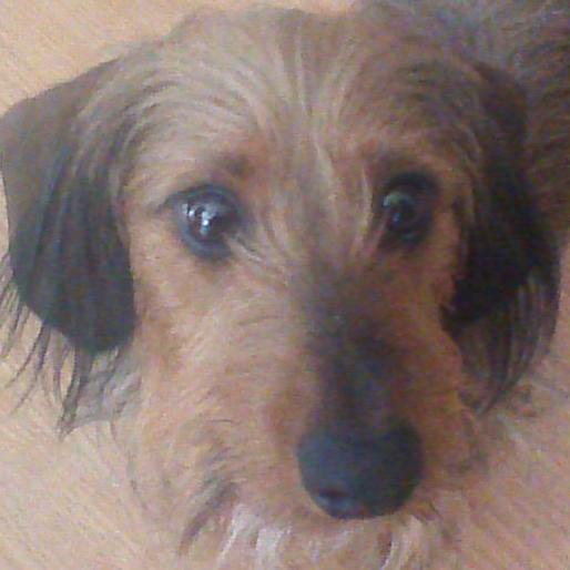 Chi_cubbies's profile picture. 