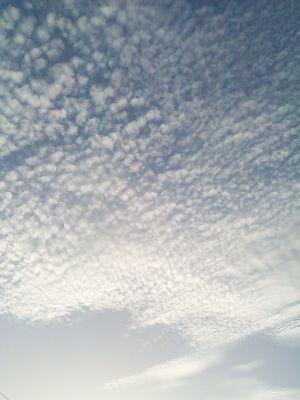 a814f83f6eb943b's profile picture. 