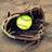 rwa_softball's profile image