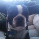 Kelly Deck - @kdeck416 - Twitter