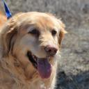 Kathy Wickman - @kwickman17 - Twitter