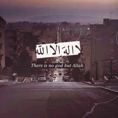 ((أرجو من الله أن يتقبل هذا الحساب ويكون صدقه جاريه لي حين أغيب عن هذه الدنيا ولعائلتي ولمتابعيني ))