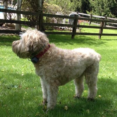 theshell42's profile picture. 