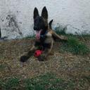 Ruben Salgado - @yoguiyerva - Twitter