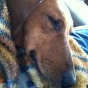 Joseph Altieri - @DepressedDoxie - Twitter