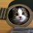 catnaptown's profile image