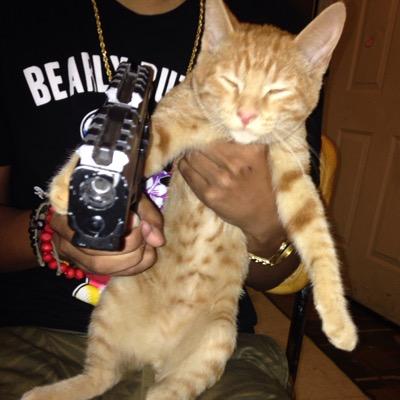 Smoking hella loud on the daily. .hitting these bumps,.. #kattnipp #BLEACHBOYS #FreeRyan #Twistinbowls #SWISHERSWEETGANG. #FUCKWHITEOWLS