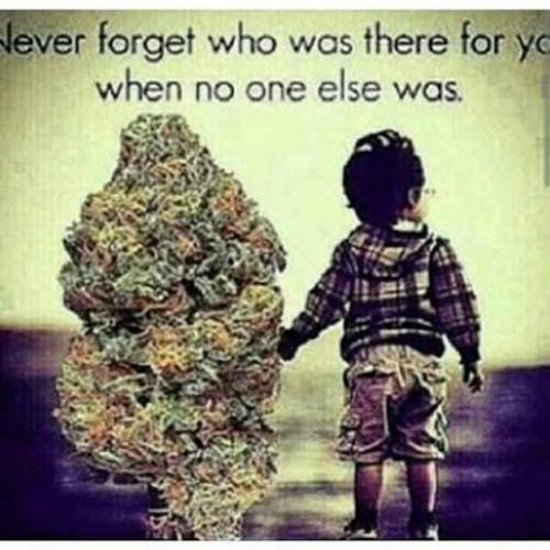 Cool fly college stoner follow me shit ii follow bac #highlife #stoopidstoner #paperplanes