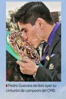 boxeador de profesion