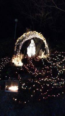 khc491277's profile picture. 