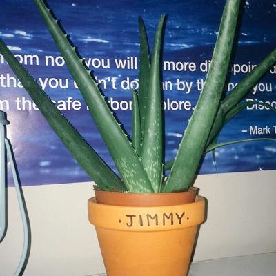 just a plant