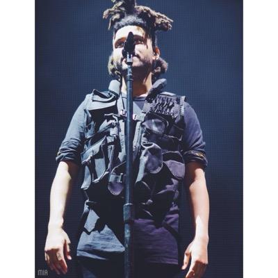 life goal: to be followed by the king - took the avi myself || xo