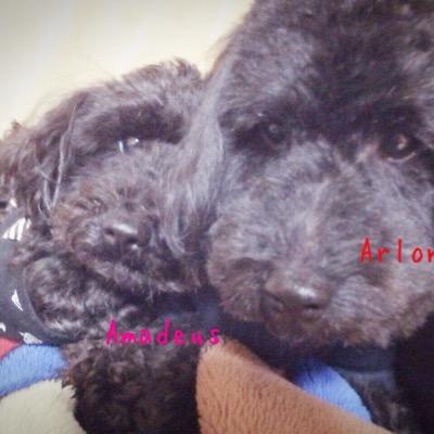 AleAma1007y's profile picture. naviさん