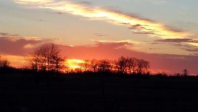 LizYahn's profile picture. 