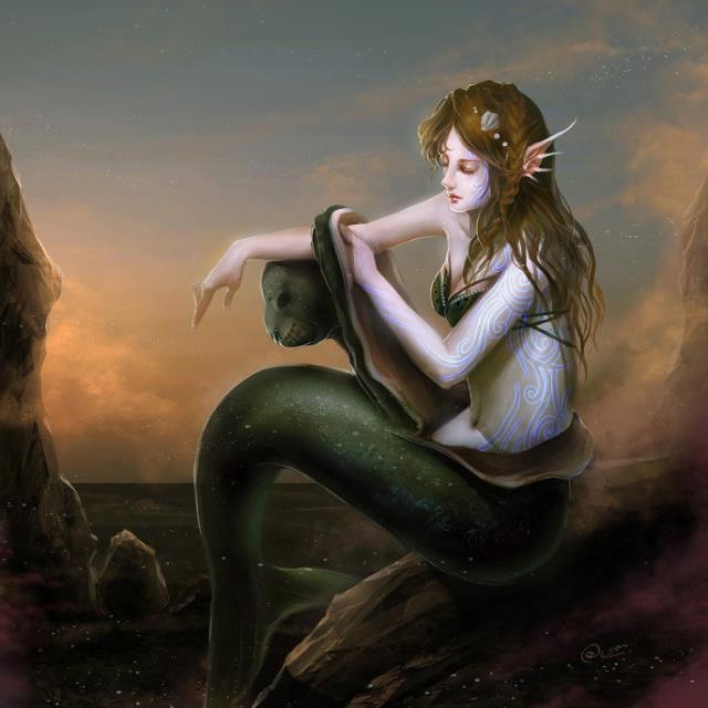 I am a Selkie, part seal, part human. I am really shy and scared of humans cause of past experience with them. I'm single.