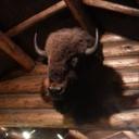 Troy Lance - @troyelance - Twitter