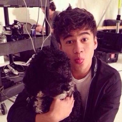 I like dogs