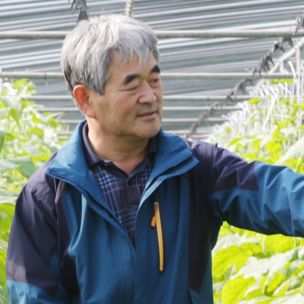 hth6739's profile picture. 