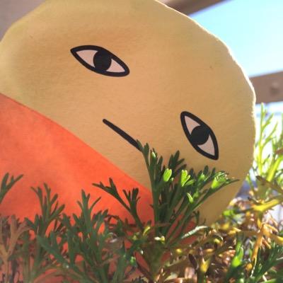 ＊Yじばｻｧﾝ＊さんのプロフィール画像