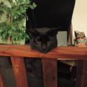 John Kinsman - @John_S_Kinsman - Twitter