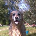 Alphonse Marie Laurence - @Alphonse38Marie - Twitter