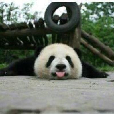 ふくしま