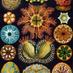 Marine Biology (@marinebio_sam) Twitter profile photo