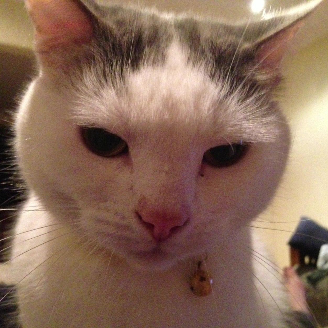 RustyComp's profile picture. 