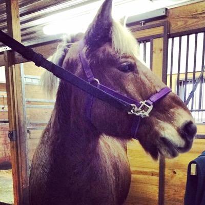 20yo UWM College Student Future: Large & Exotic Animal Veterinarian