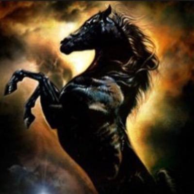 AnnetteCarolle's profile picture. horses showing judges