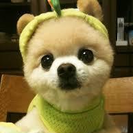 ym20151020's profile picture. 超超極秘情報※毎月のスマホ代が0円になる「宇宙スマホ」と「フィットネスバンド」でダイエットしながら 月10〜100万円以上稼げる「ワゴン（WGN）」


今回のウェブセミナーは、 
あなたの人生を大きく変える
最高の１日になることをお約束します。
https://t.co/OzuJIis3hu