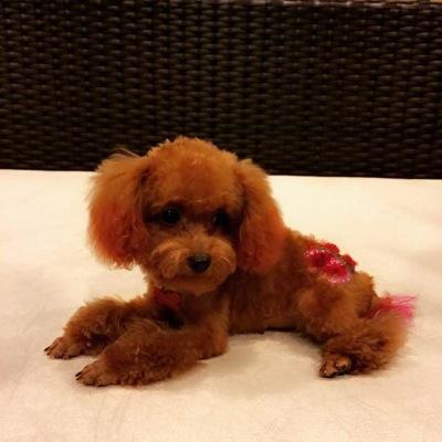 cocoa_cocolee Profile Picture