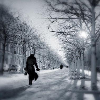 f3ms11's profile picture. داهمتني الغربه..ليتني ماجيت ..ليتني رديت..........