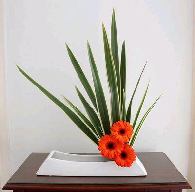 ‏خير الامور الوسط
