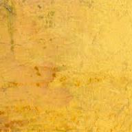 Turner in Tottenhamさんのプロフィール画像