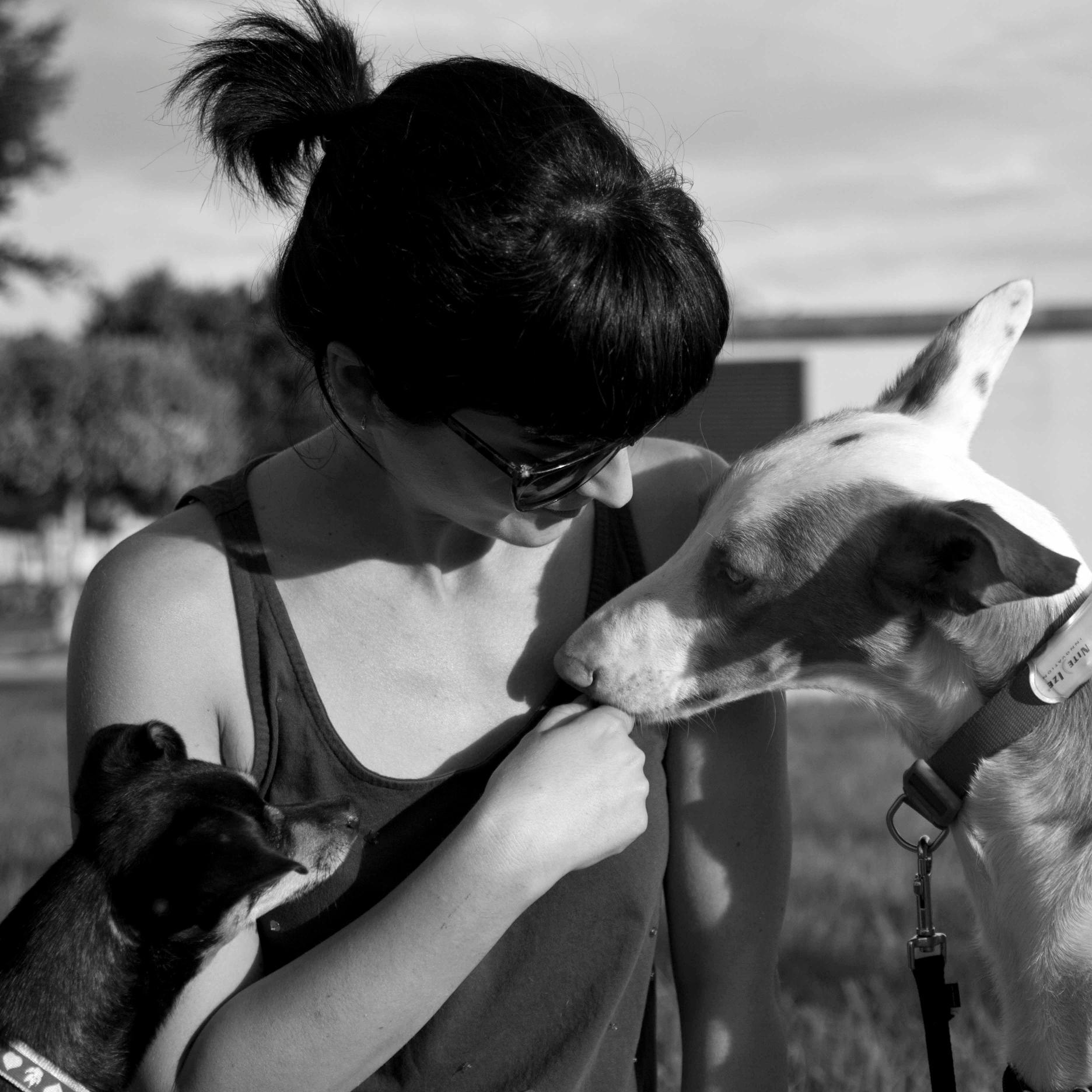 GloriaCnDog's profile picture. Educadora canina, paseadora y canguro de mascotas