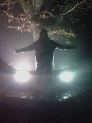 goldensections's profile picture. Lions do not enter into an agreement with people