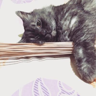 ucihaela_'s profile picture. Allah SWT lebih dekat dari pada urat nadiku sendiri