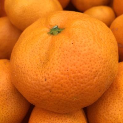 やすまささんのプロフィール画像