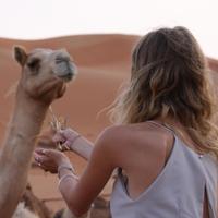 Elodie Jacoby (@elodiejacoby) 's Twitter Profile