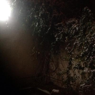 wix2377's profile picture. الله اكبر.... جزيرة العرب....