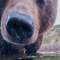 Всем удачи и успехов!) #Follow #ВзаимныйФолловинг!) Партнерская программа!