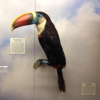 Tweeting (mostly) fascinating science. Born in Nepal, via Colorado, Cali and Old England, now in New England