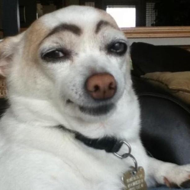 user127891024's profile picture. 