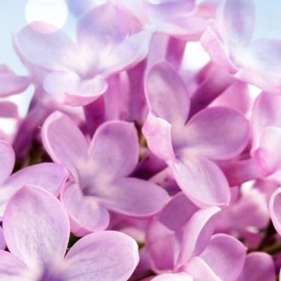 lovequote2651's profile picture. what is life without love..