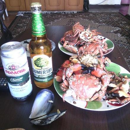 IZHBETS's profile picture. 