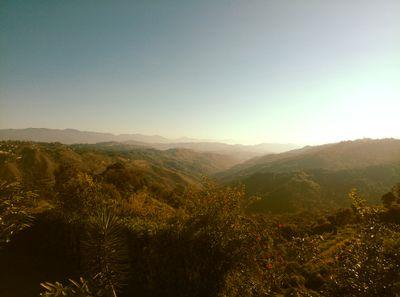 EverlinSanchez7's profile picture. 